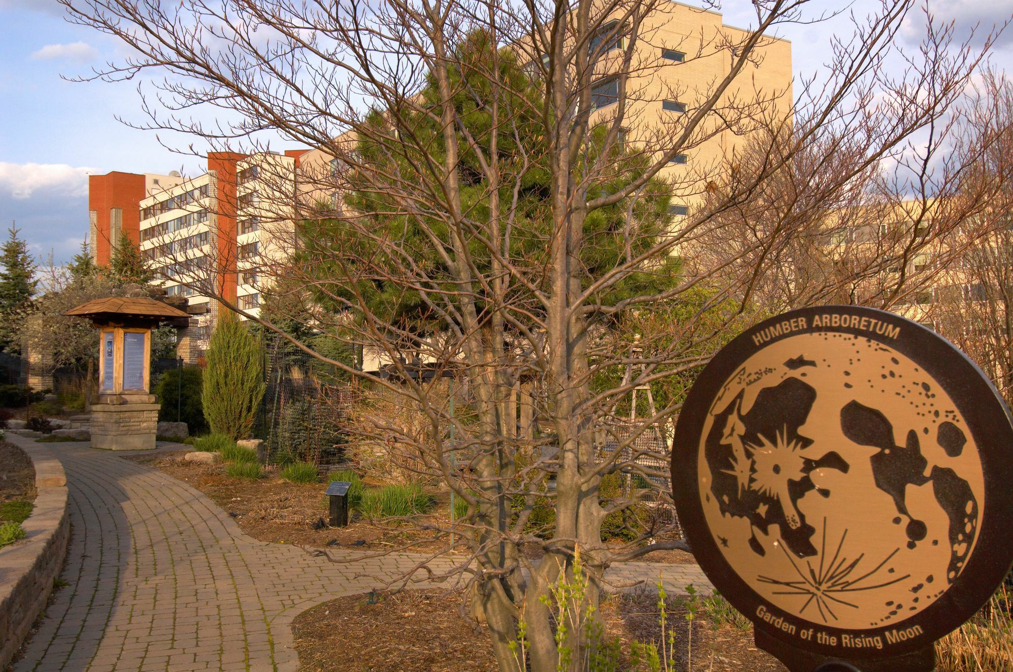 Humber College North Campus Residence Brampton Exteriör bild